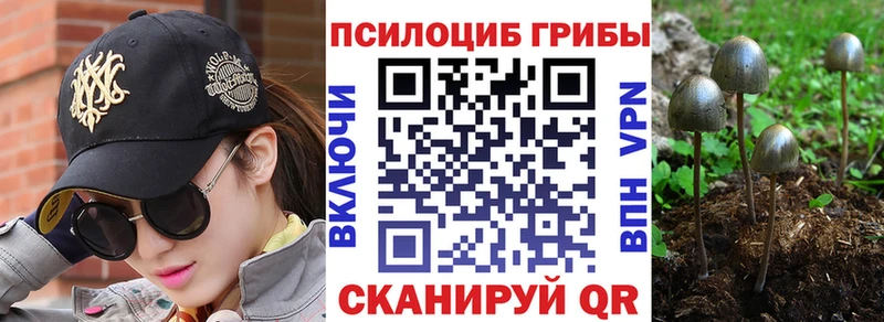 Псилоцибиновые грибы GOLDEN TEACHER  Короча 
